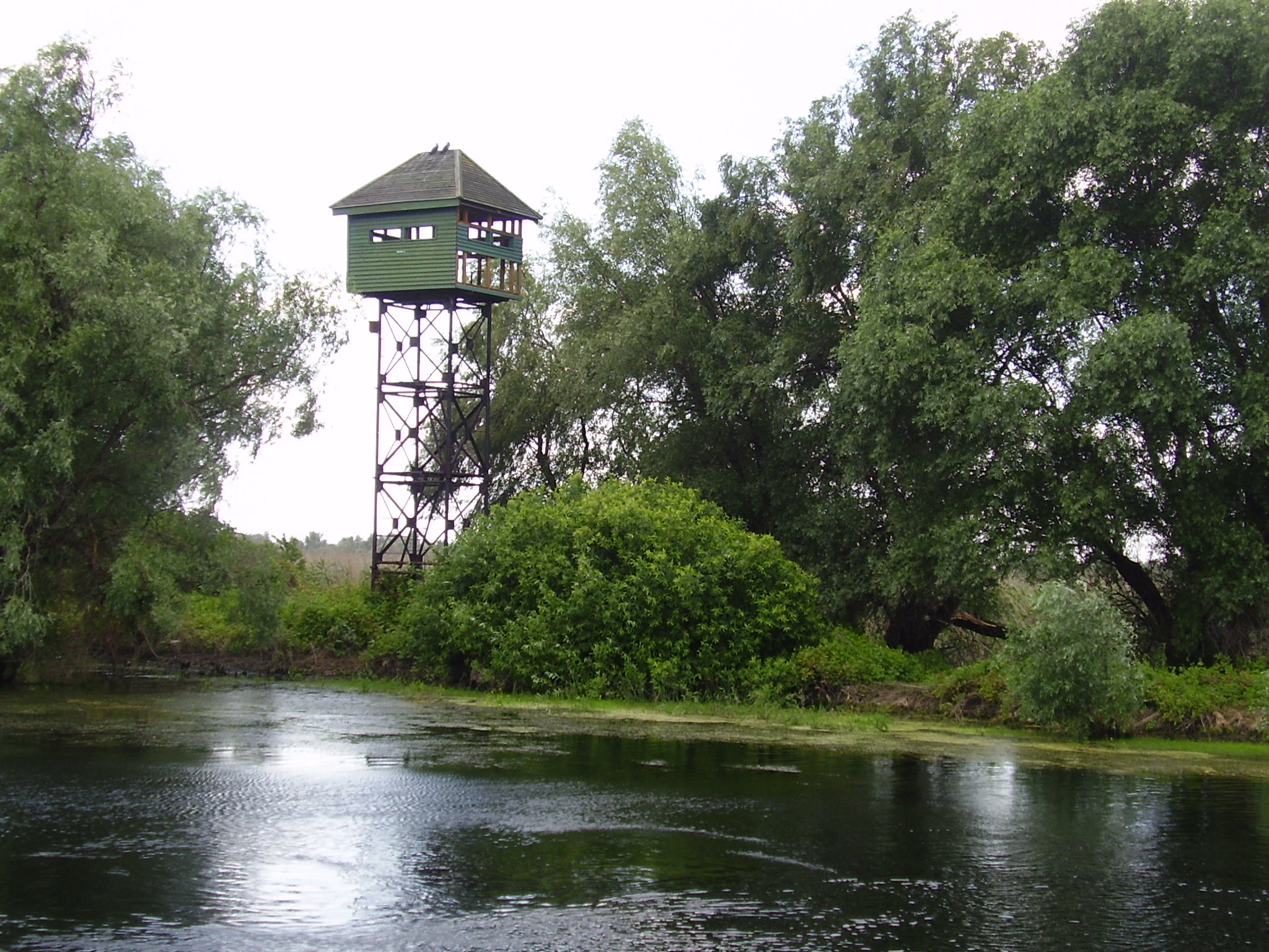 Osservatorio ornitologico sul delta del Danubio (Danube Delta Bird Watching)